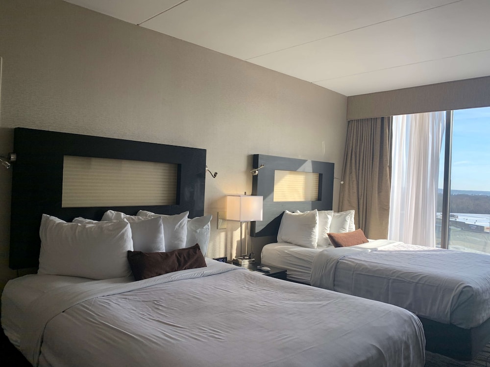 Best Western Executive Hotel Of New Haven - West Haven 13/48