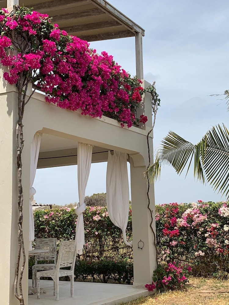 Life Resort St.Thomas Royal Palm 1/50