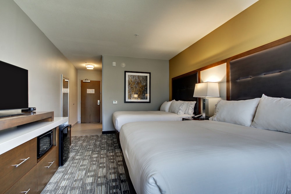 Holiday Inn Express Hotel And Suites Albany 24/67