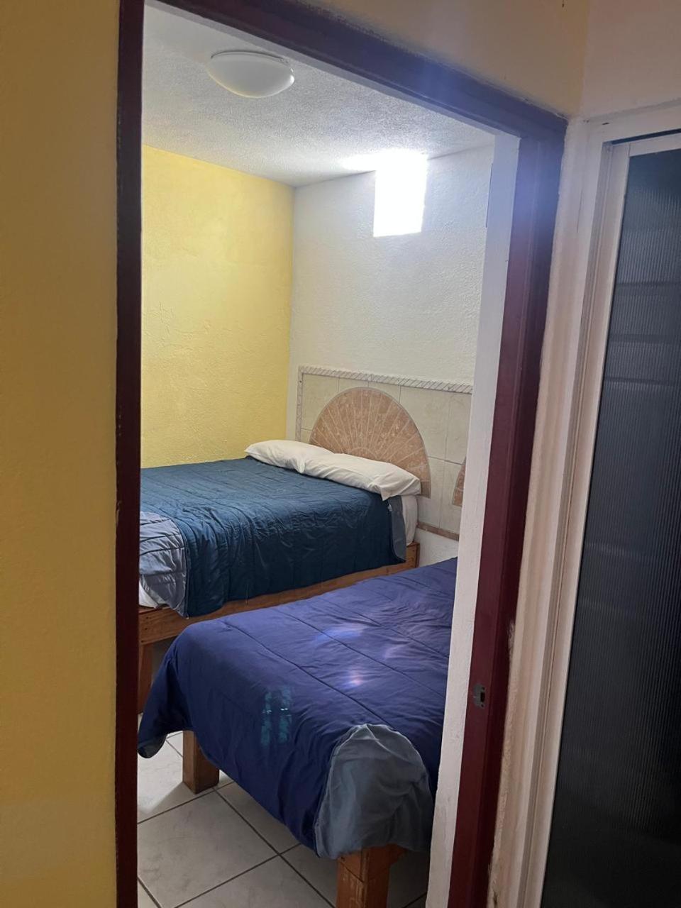 Hotel Albatros Palace 12/24