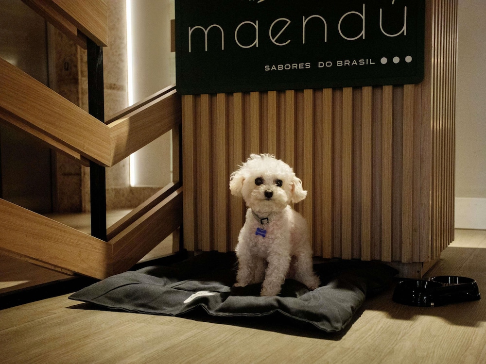 Mercure Maceio Pajucara 22/50
