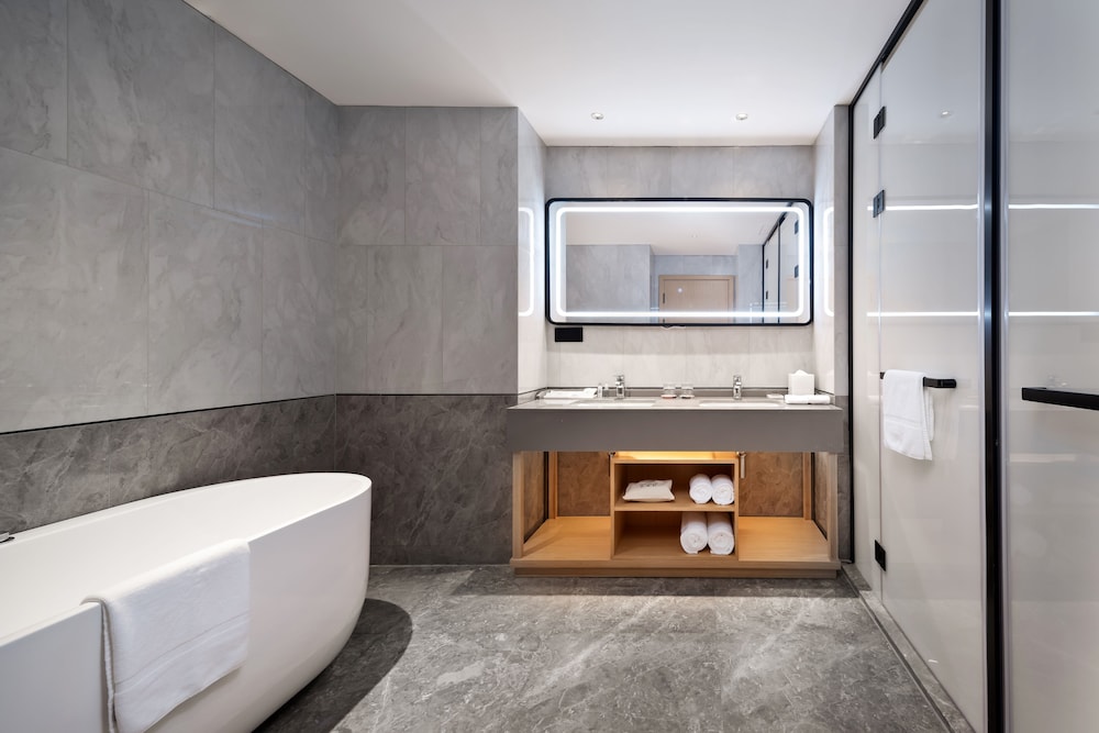 Hilton Garden Inn Nanchang Honggutan 12/27