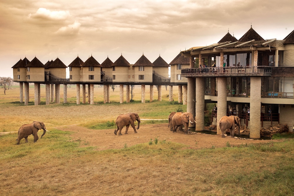 Salt Lick Safari Lodge 40/55