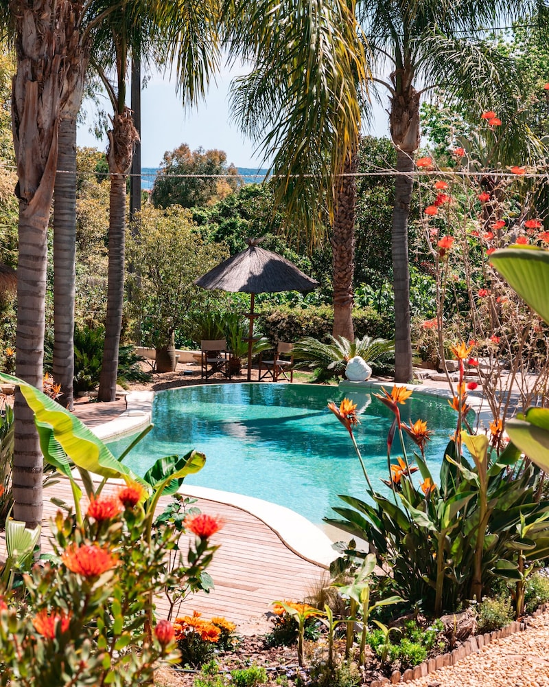 Cannes Villa St Barth 38/50