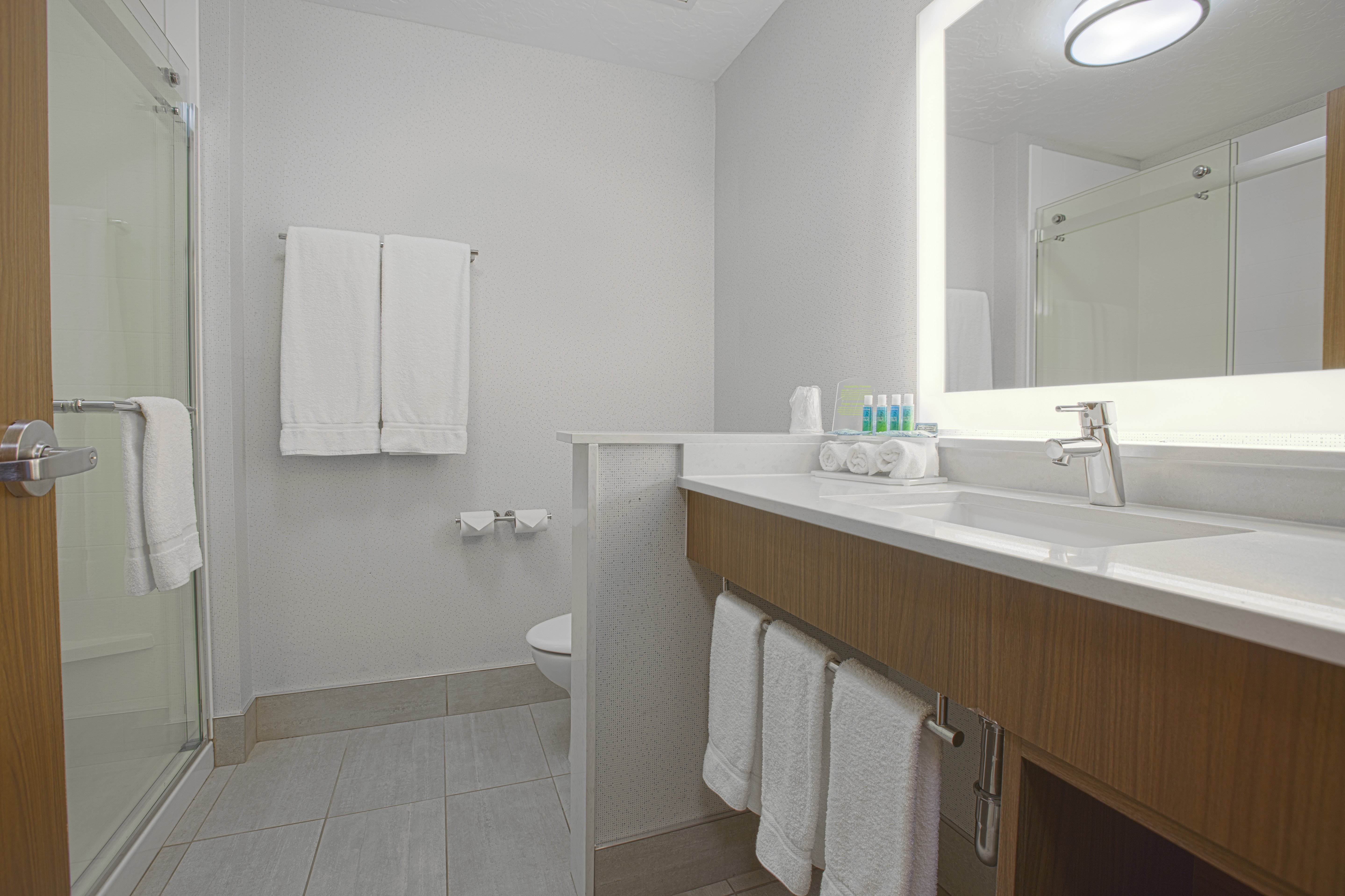Holiday Inn Express Suites Boise Airport 80/80