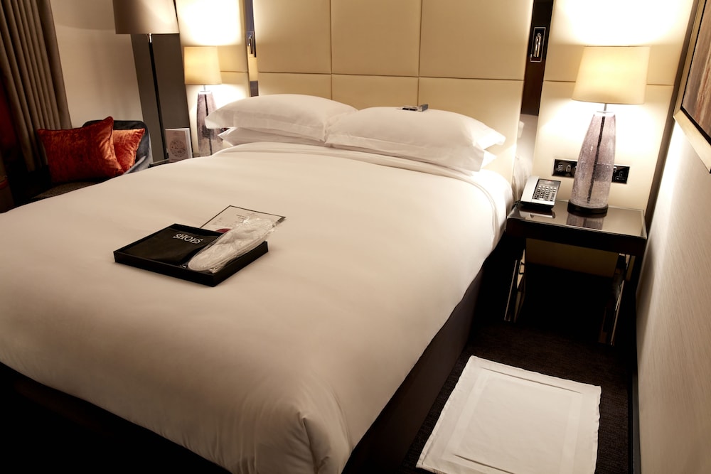 Hyatt Regency London Albert Embankment 16/67
