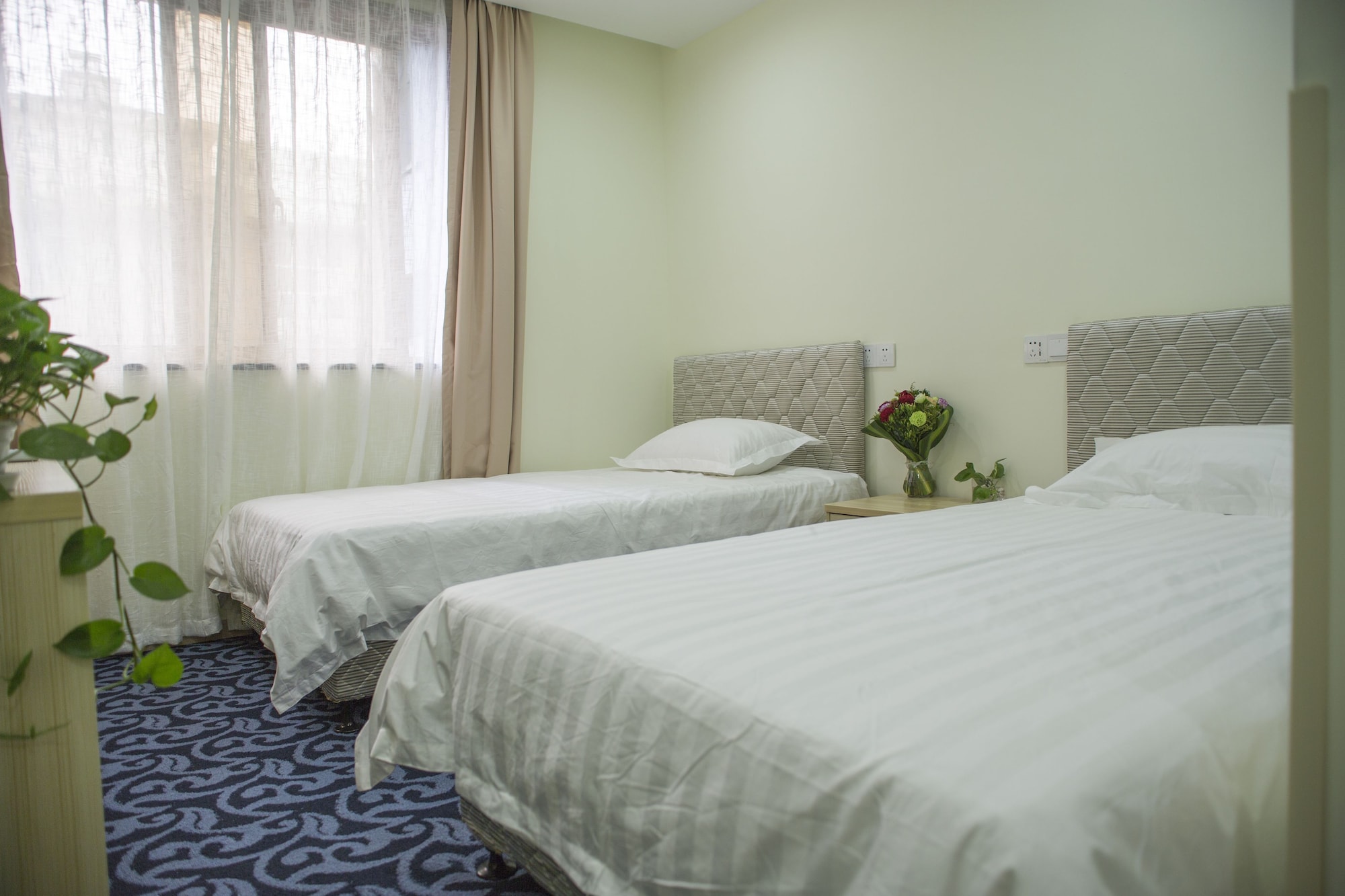STANDARD, TWIN BEDS