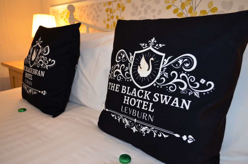 The Black Swan Hotel 41/67