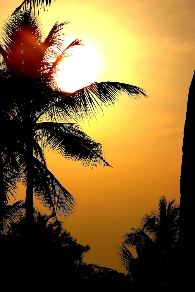 Vgp Golden Beach Resort 33/49