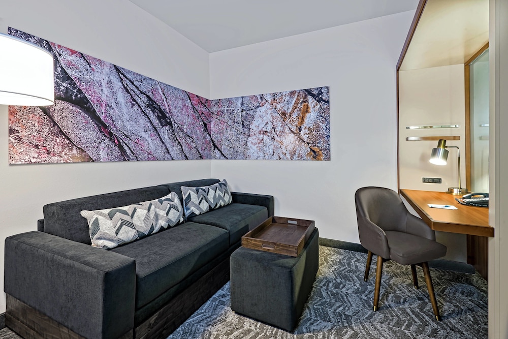 SpringHill Suites by Marriott San Antonio SeaWorld Lackland 21/29