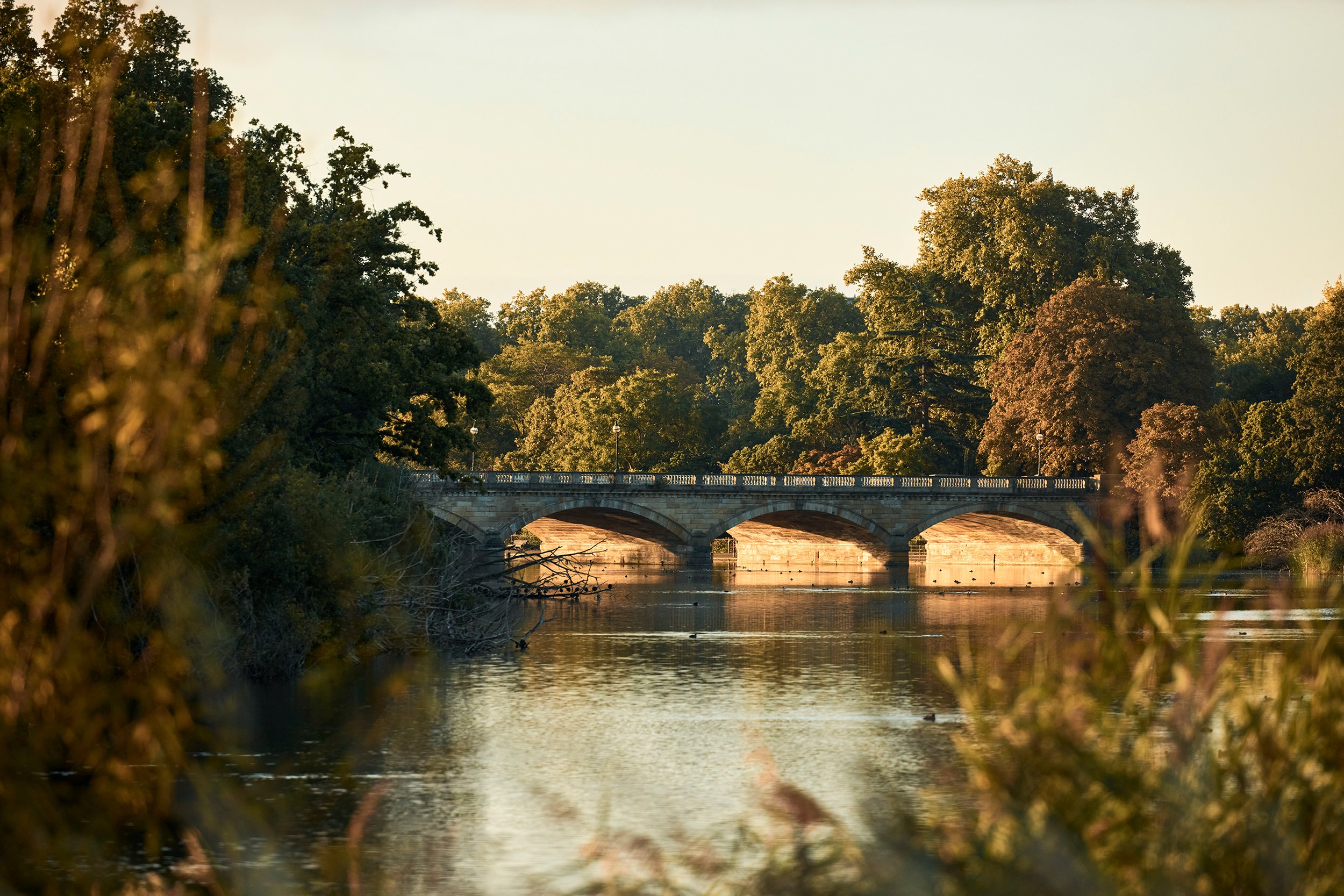Six Senses London 31/33