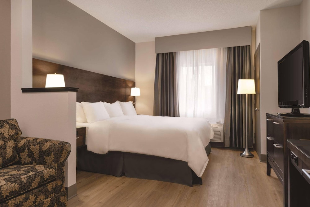 Upgrade, Suite, Single Bed
