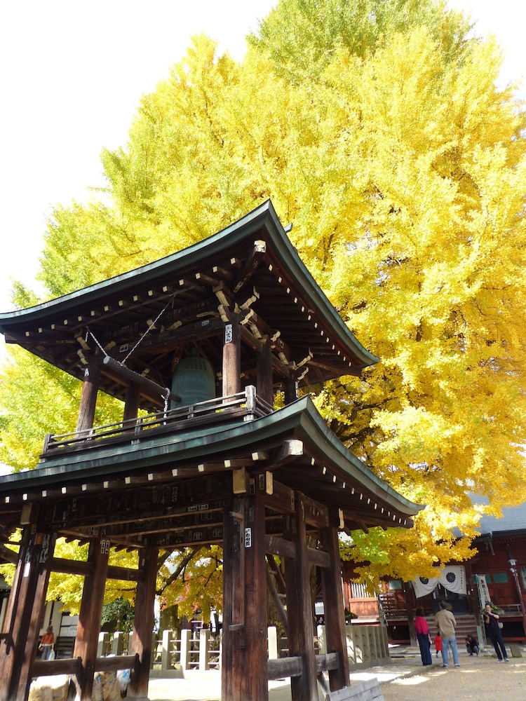 Minshuku Kuwataniya in TAKAYAMA
