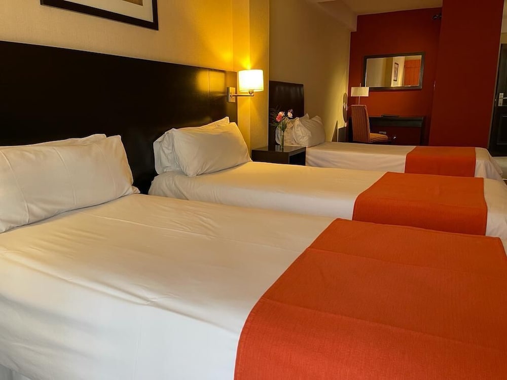 Duomi Hotel Buenos Aires 19/69