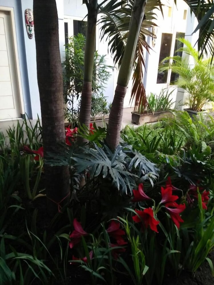 Clover Homestay 29/65