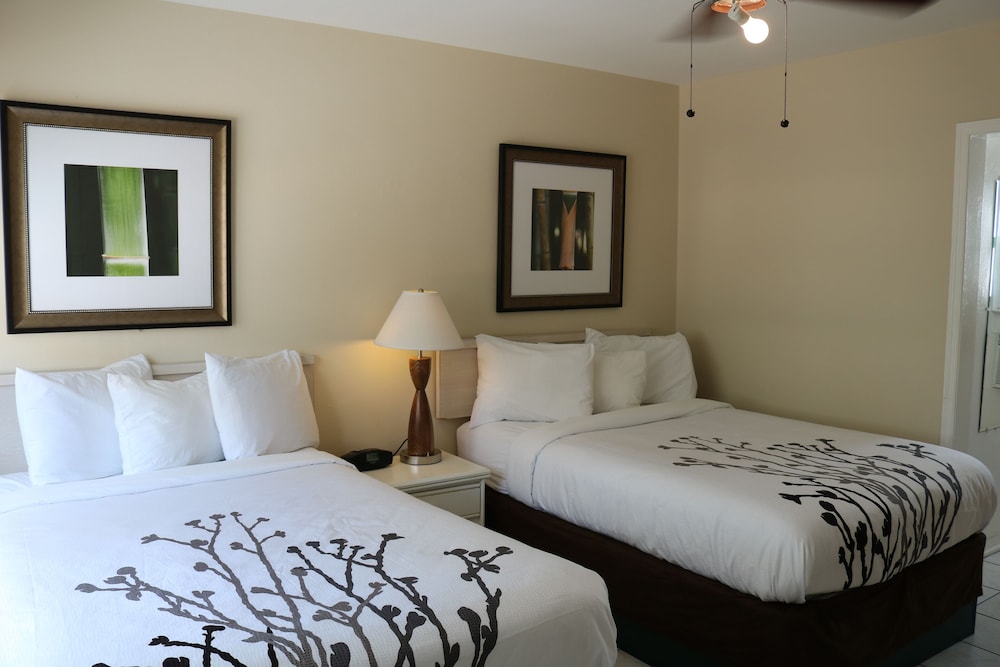 Miramar Resort 6/50