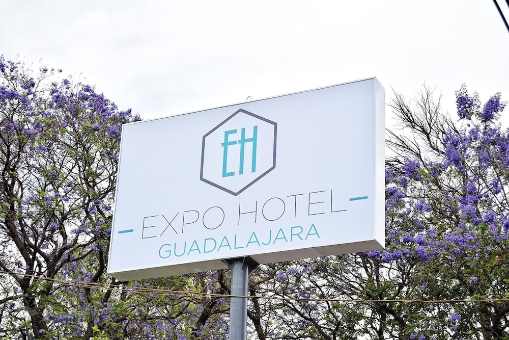 Expo Hotel photo3