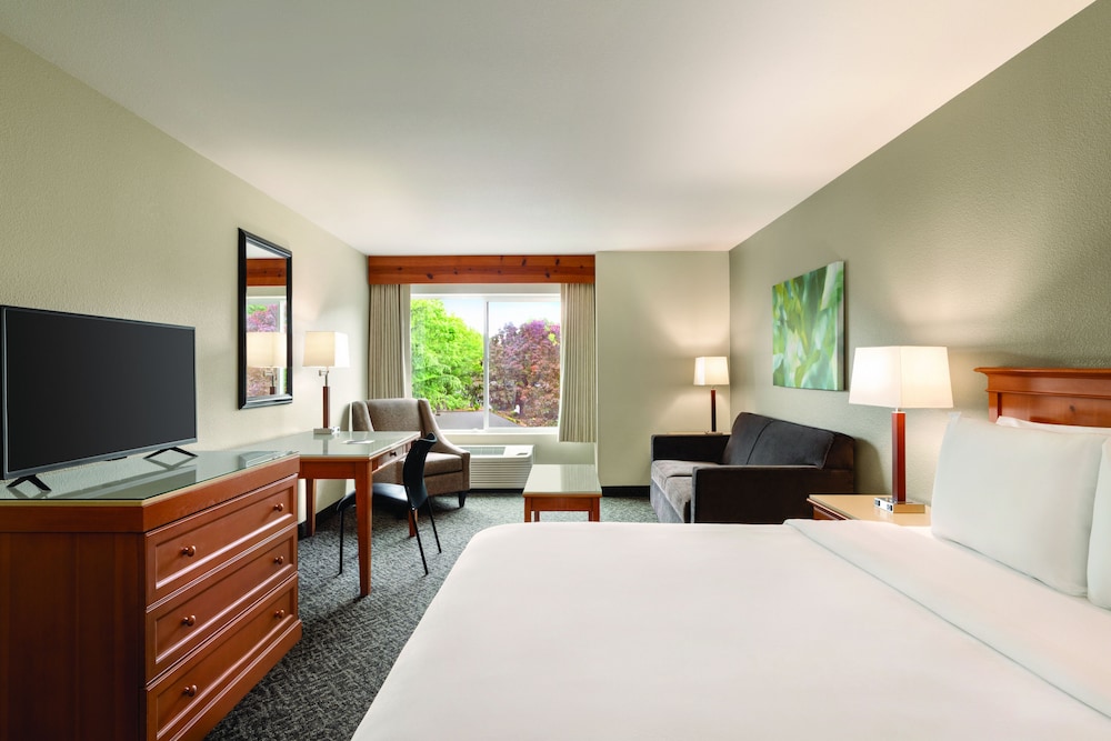 ROOM, QUEEN BED, ACCESSIBLE