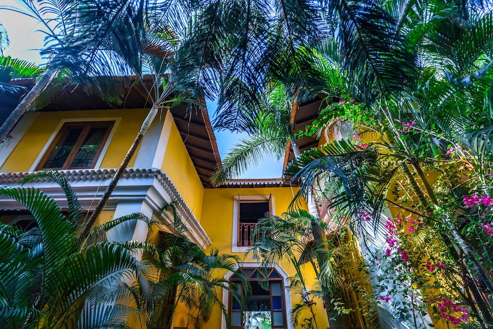 Fiesta Beach Resort 3/50