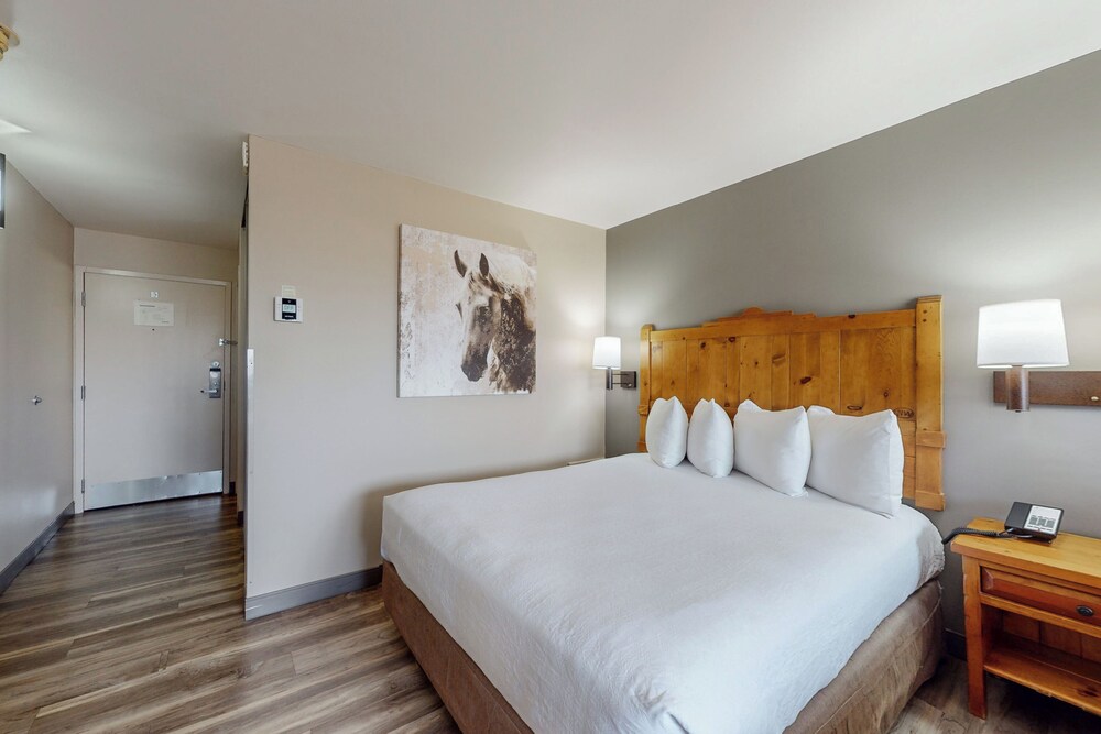 غرفة قياسية بسريرين كوين يُسمح فيها بالحيوانات الأليفة، Best Western Plus Rio Grande Inn 2/10
