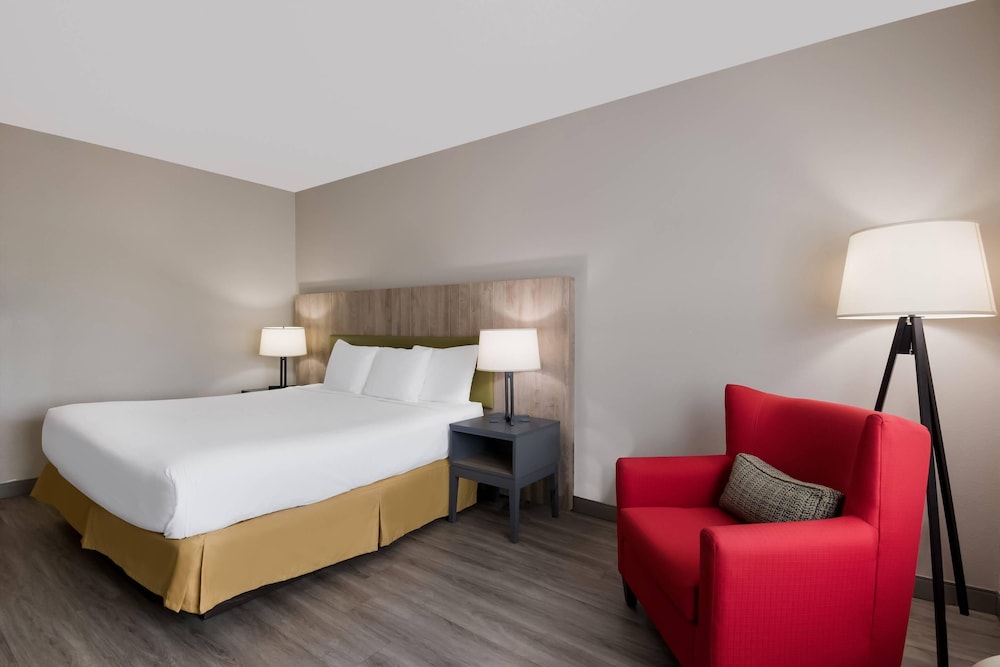 ROOM, KING BED, PET FRIENDLY