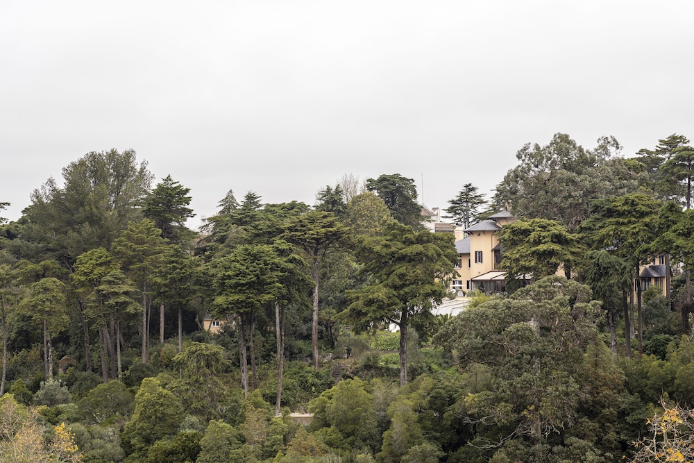 Sintra Marmoris Camelia 39/48