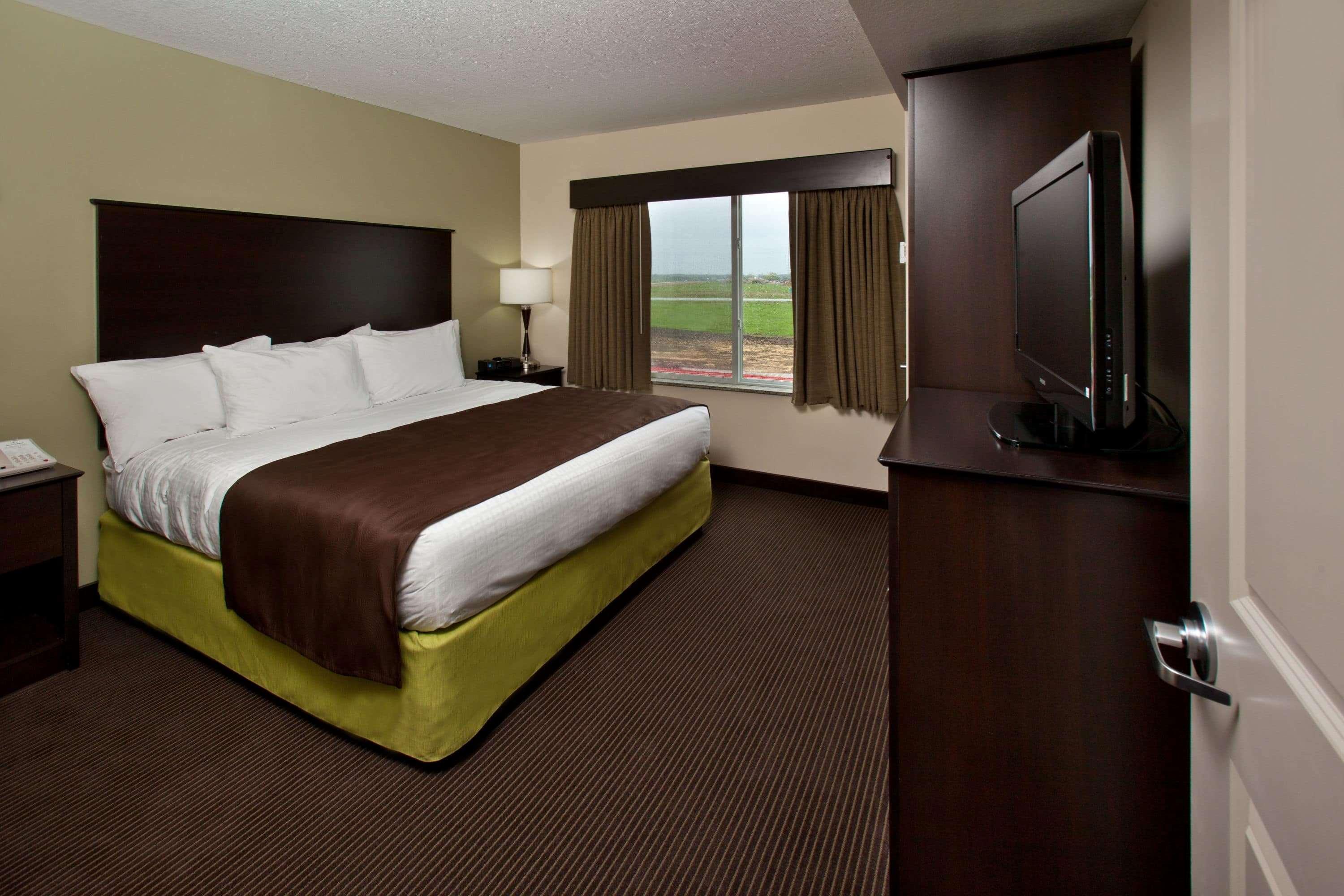Suite, King Bed