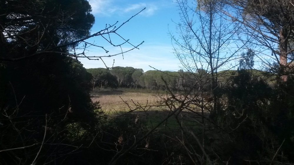 Les Mayombes 21/31