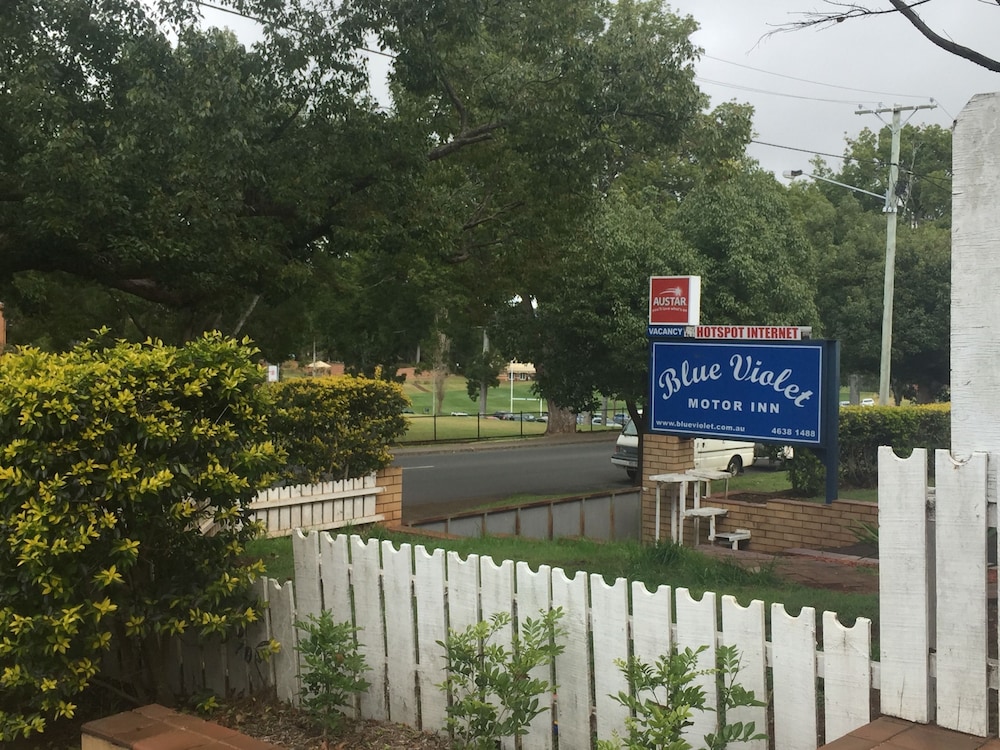 BLUE VIOLET MOTOR INN 3/38