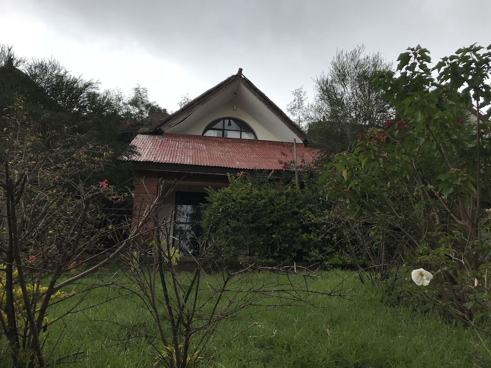 Lalibela Lodge 6/43