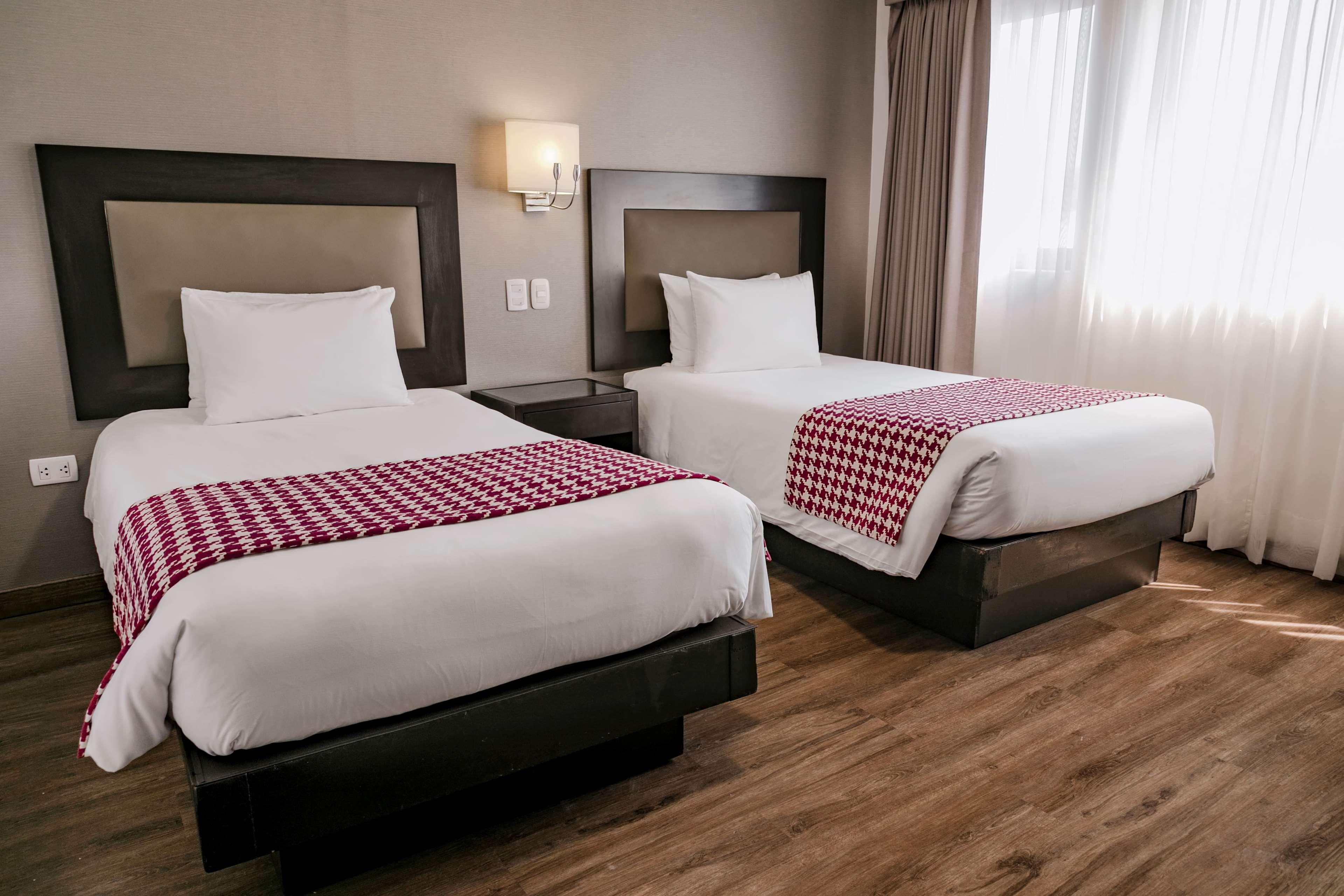 Family Suite, 2 Double Beds