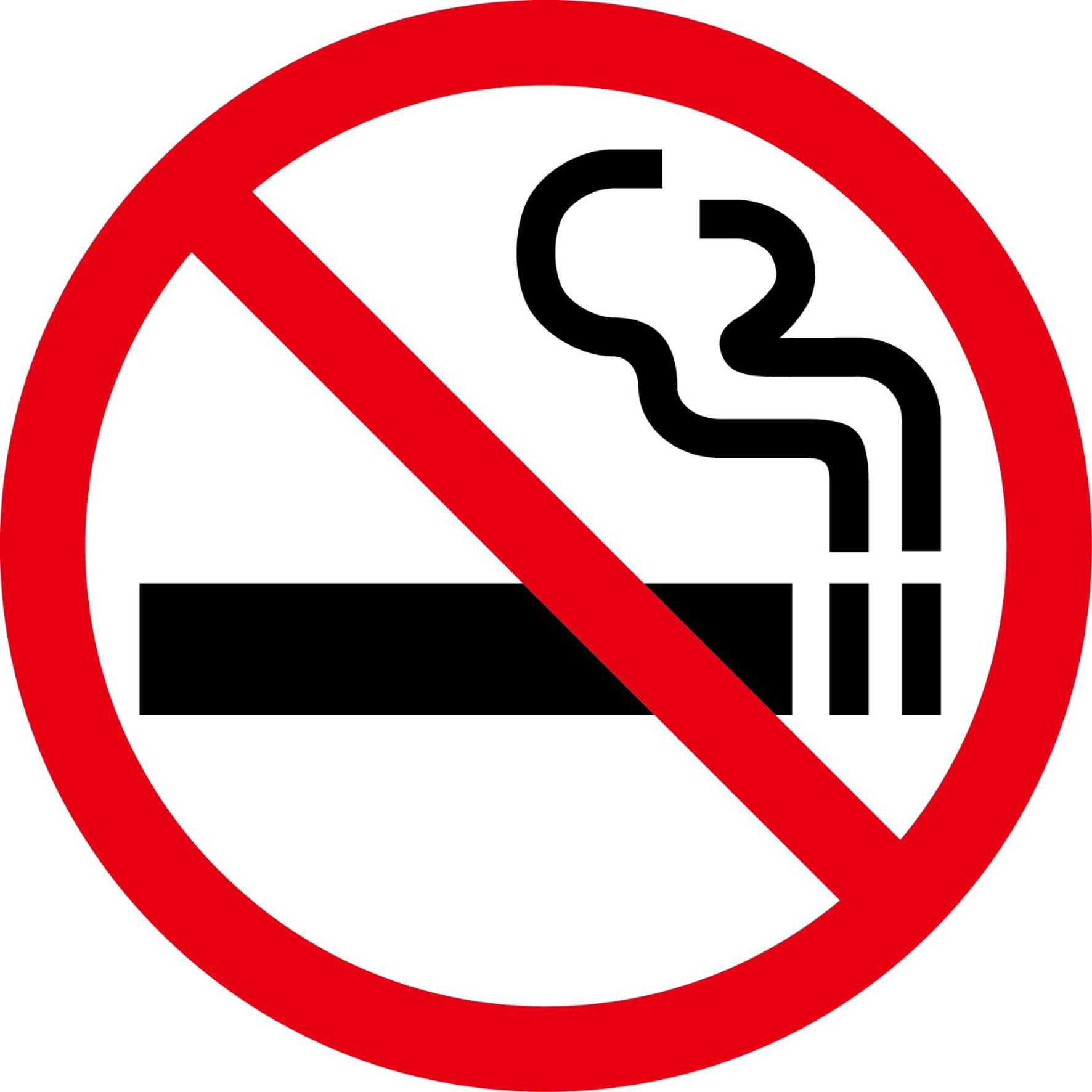 伊川旅馆(Ikawa Ryokan) 图片4