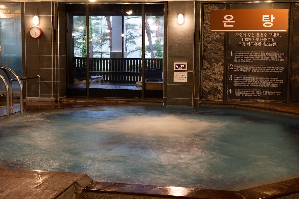 Dukgu Oncheon Resort Hotel 14/50