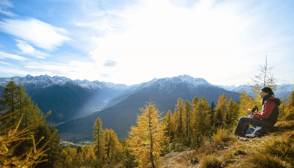 Hotel Alpina nature-wellness 28/33