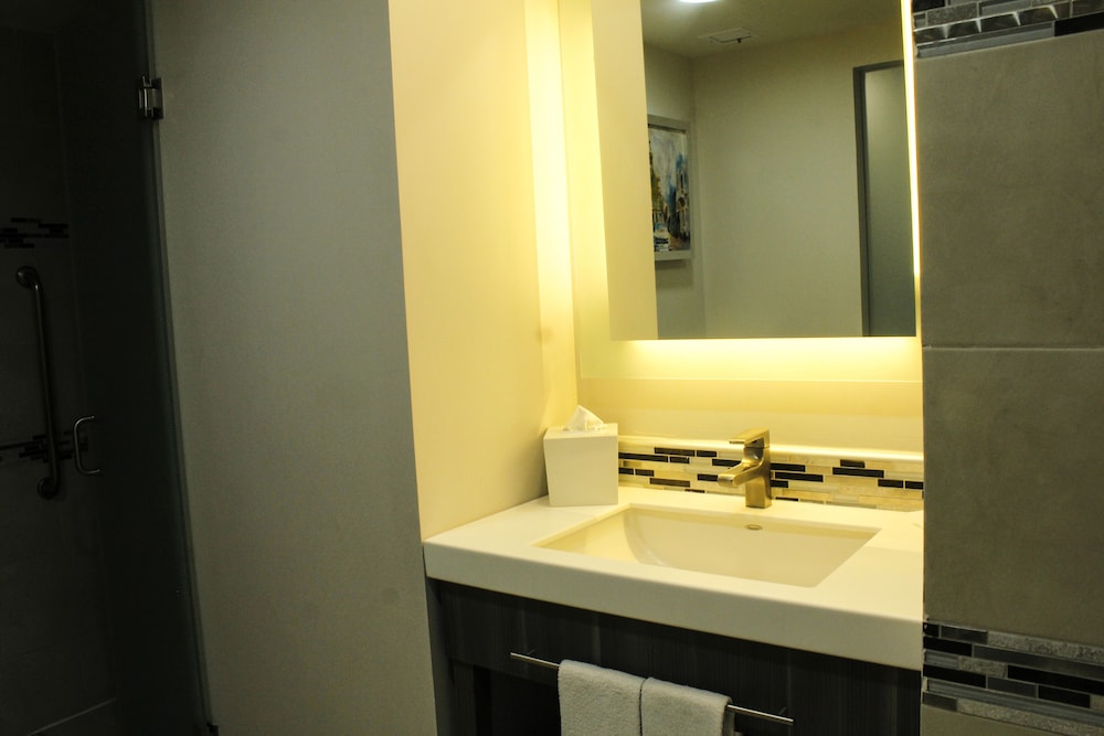 Hampton Inn Suites By Hilton Aguascalientes Airport 18/58
