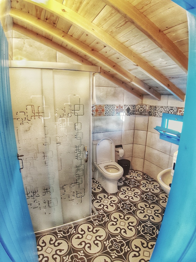Alterna Koy Evi 19/50
