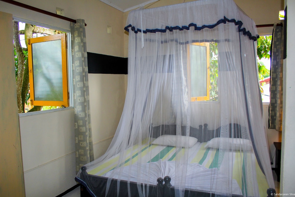 Anne's Maisonnette 5/50