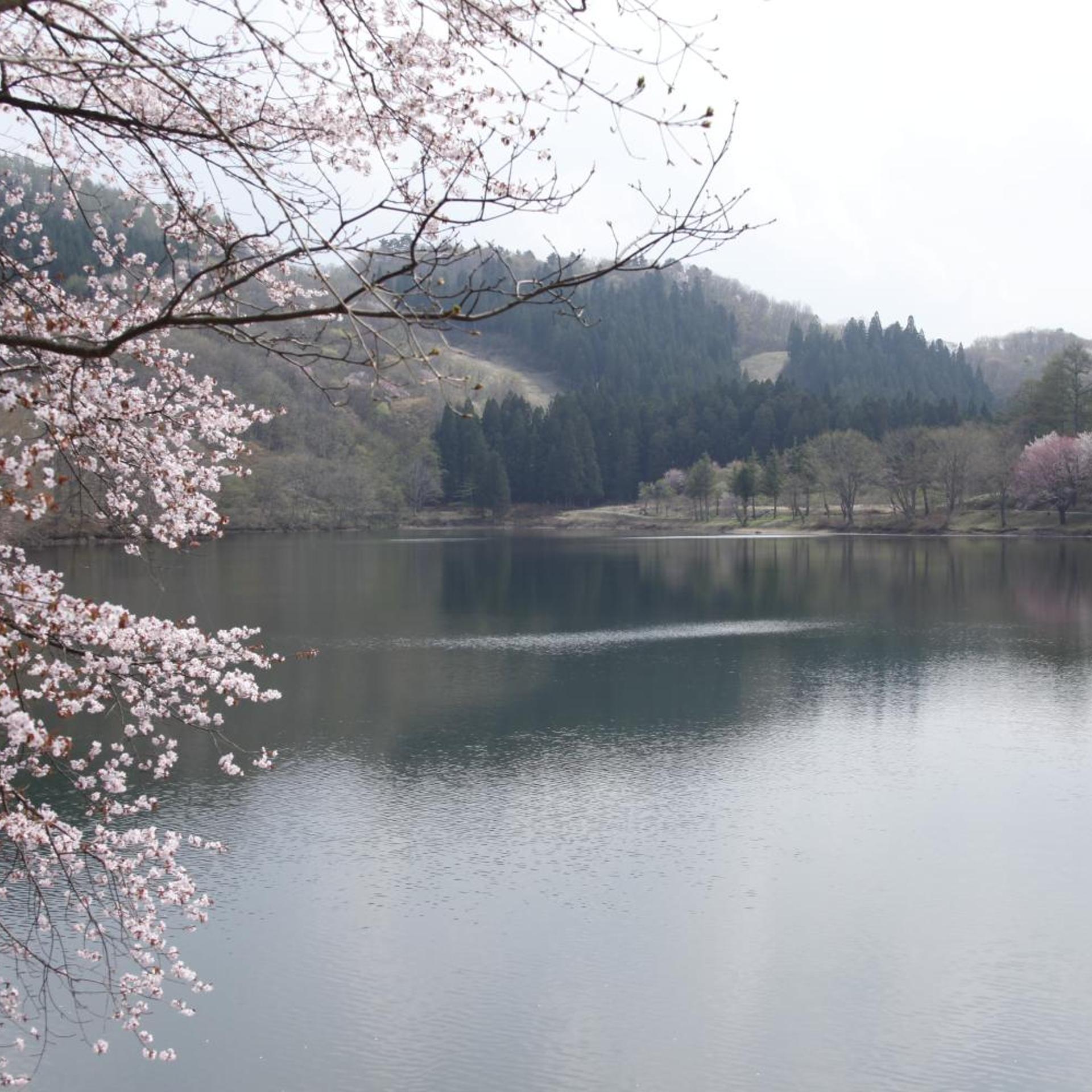 Matsukaneya Annex 36/40