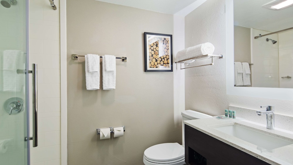 Best Western Atlanta-Marietta Ballpark Hotel 14/34