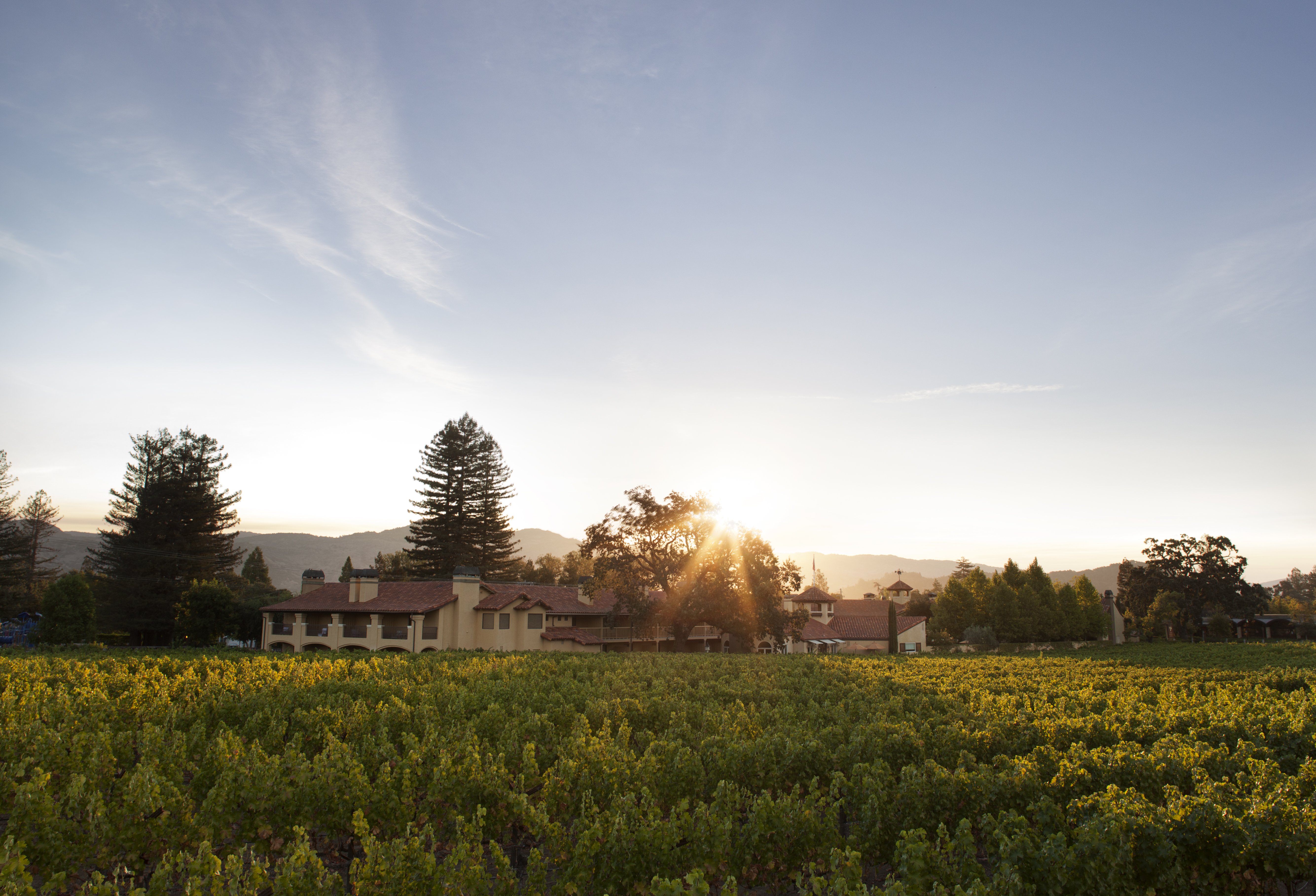Napa Valley Lodge 52/58