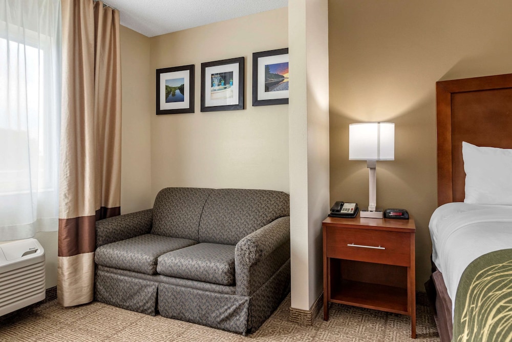 Comfort Inn Suites Dimondale Lansing 29/35