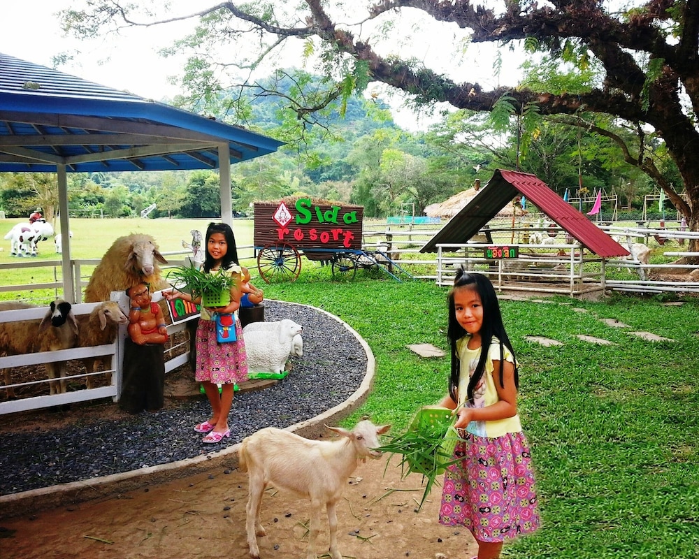 SIDA RESORT HOTEL 51/62