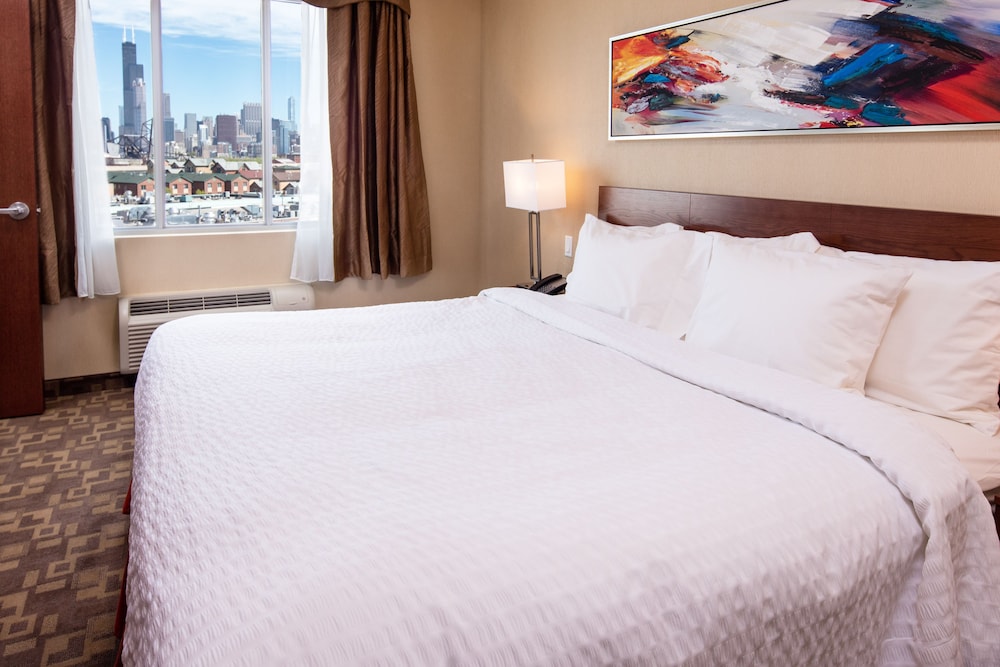 SUITE, KING BED