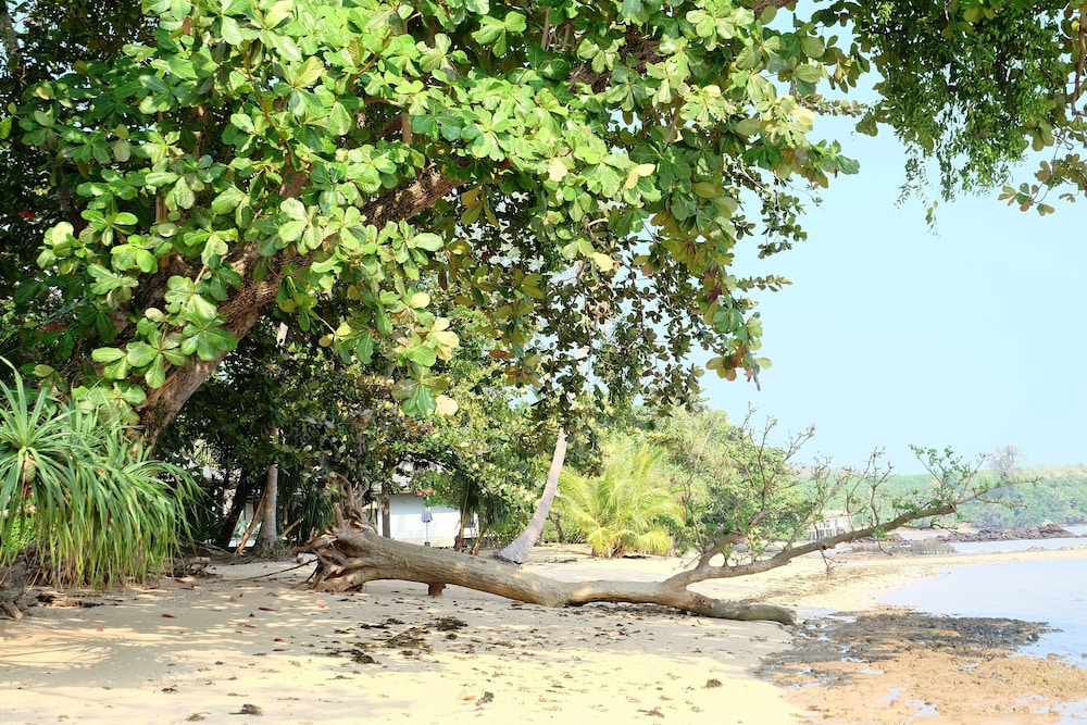 Plub Pla Koh Mak Retreat 41/68