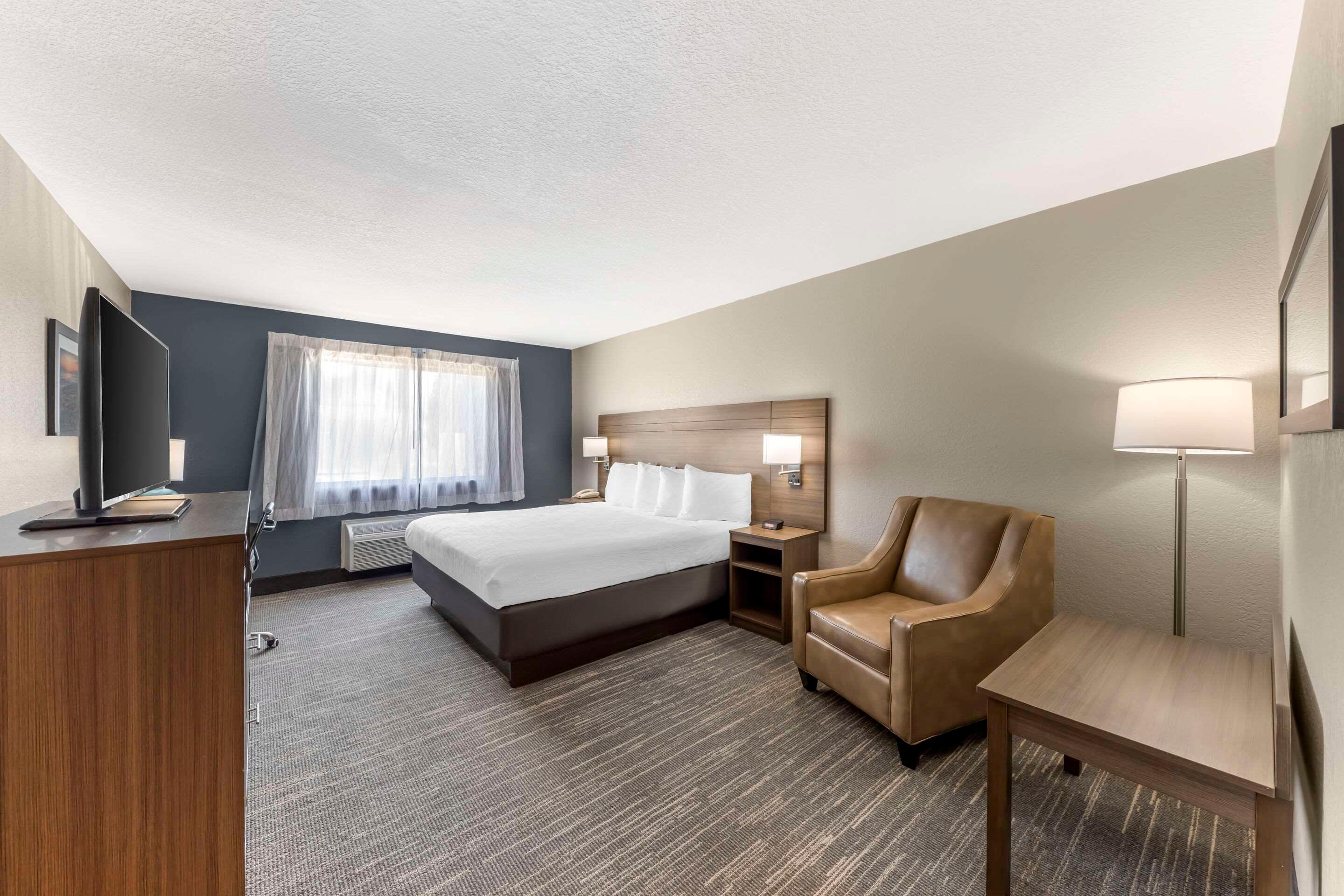 Room, King Bed