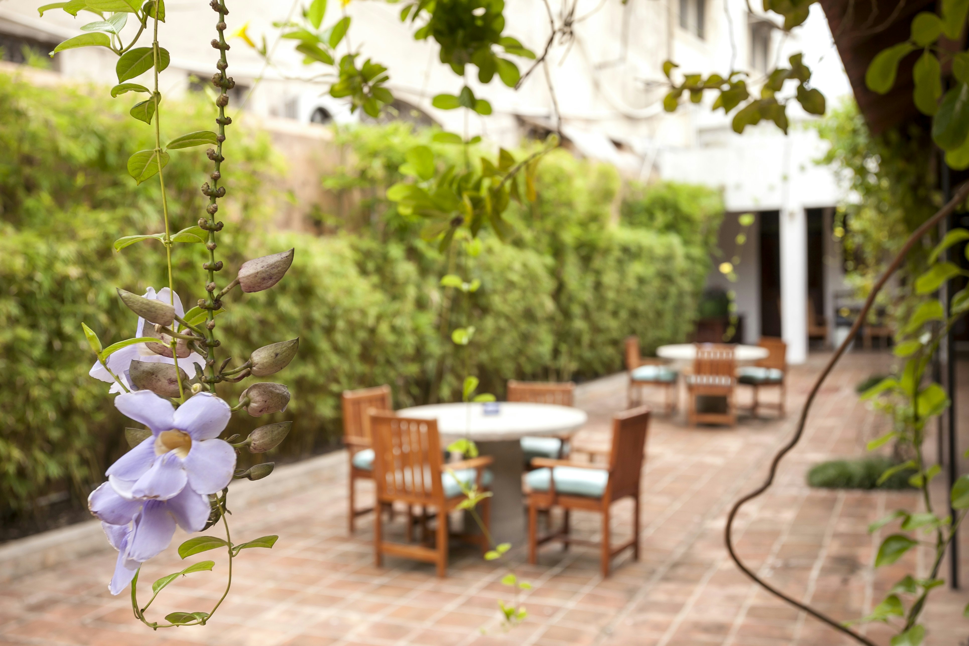 Casas del XVI Boutique Hotel 44/53