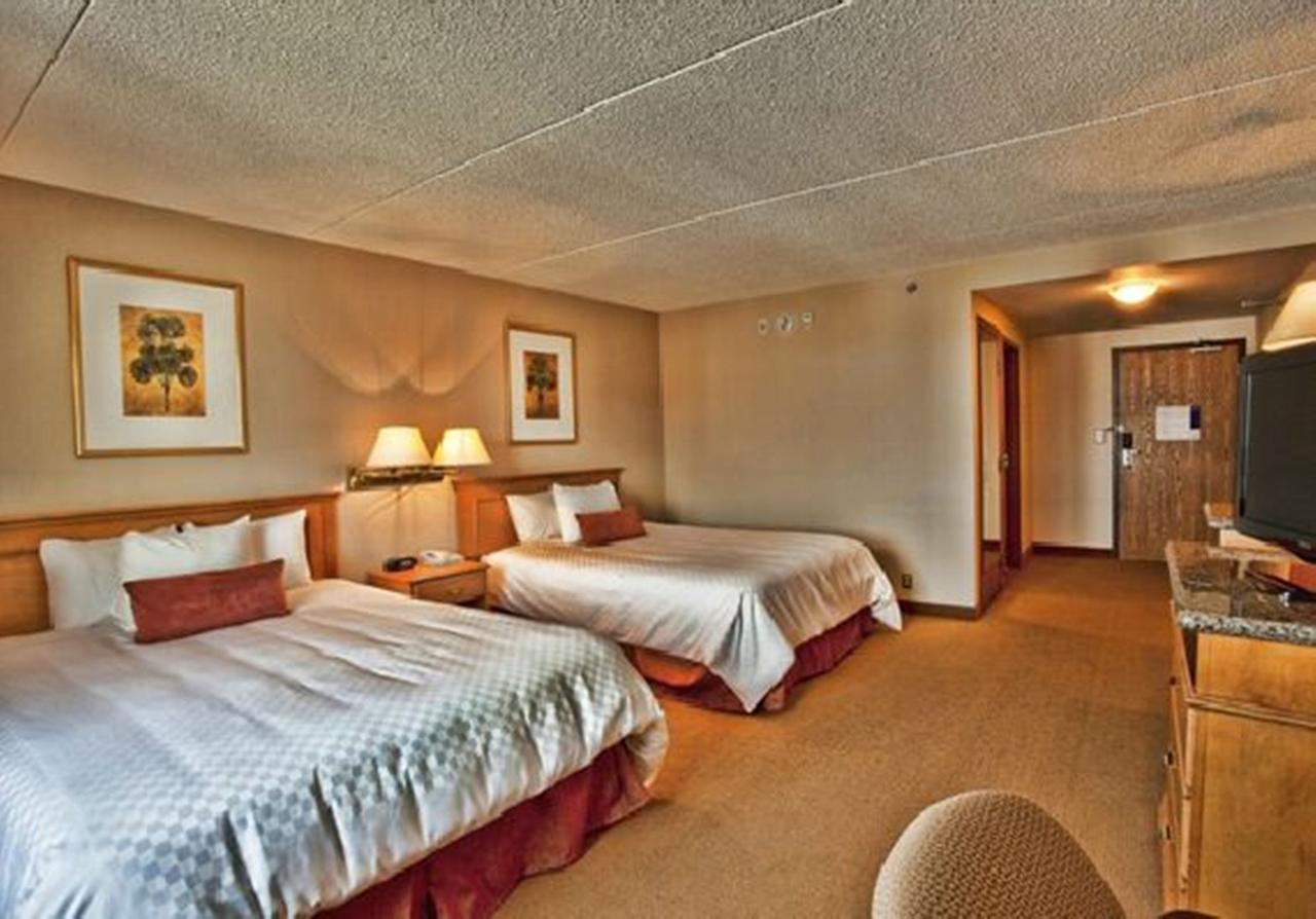 Room, Queen Bed