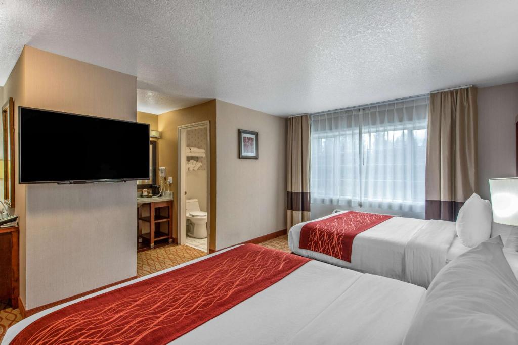 Upgrade, Suite, 2 Double Beds