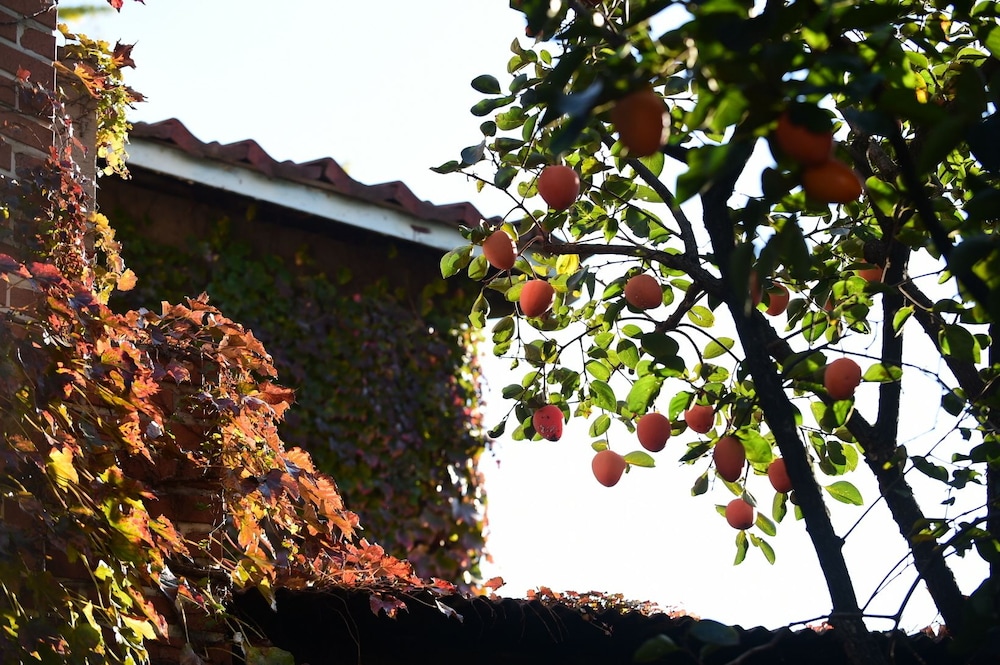 Photo Park Guesthouse 34/50