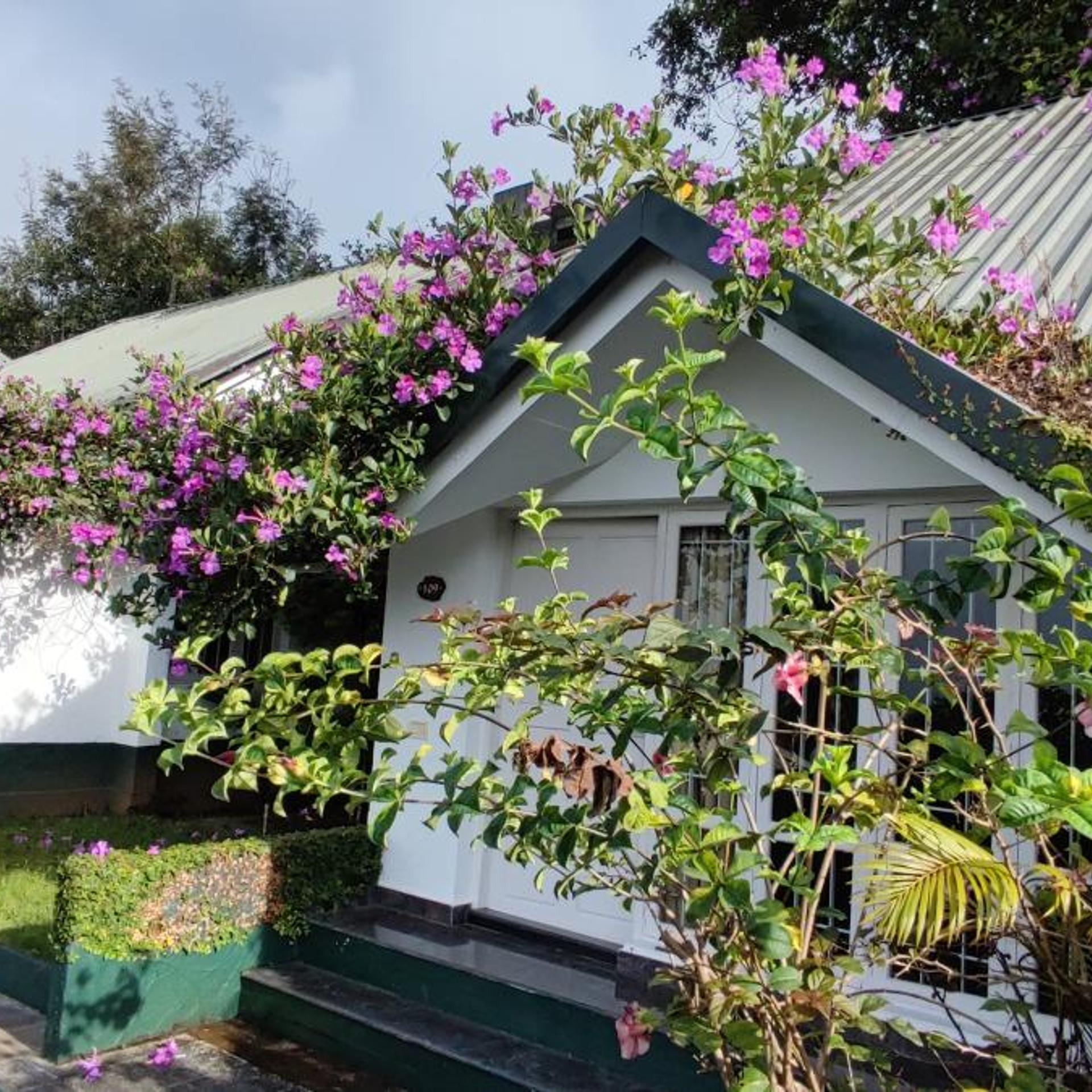 Munnar Tea Country Resort 4/47